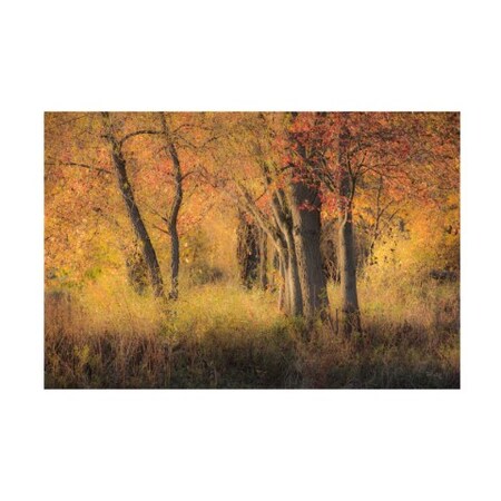 Trademark Fine Art Matthew Platz 'The Other Side Autumn' Canvas Art, 30x47 IC02302-C3047GG
